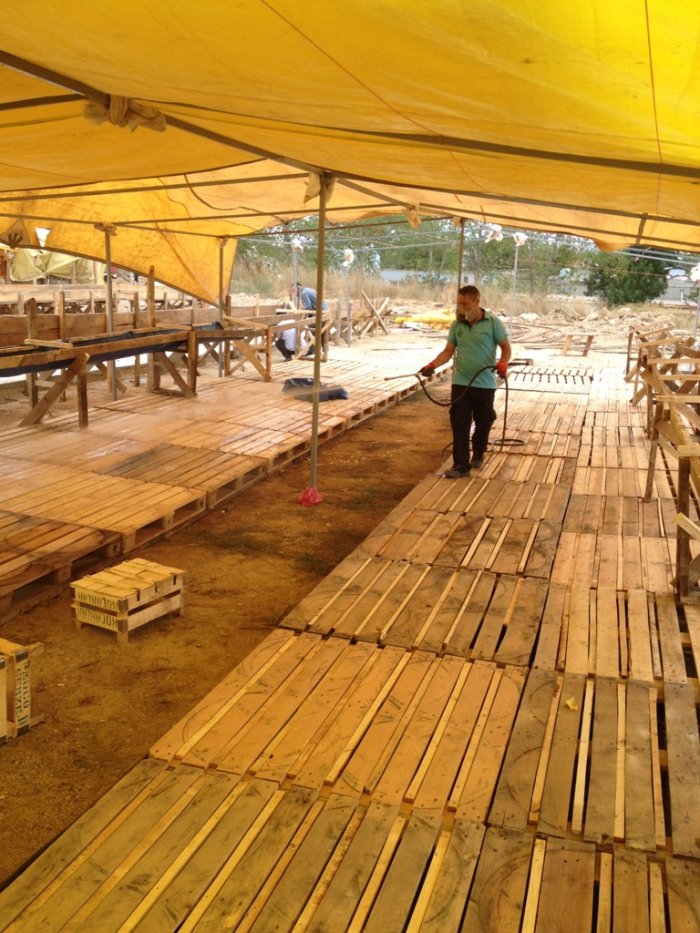 Bayram sonrası ilaçlama