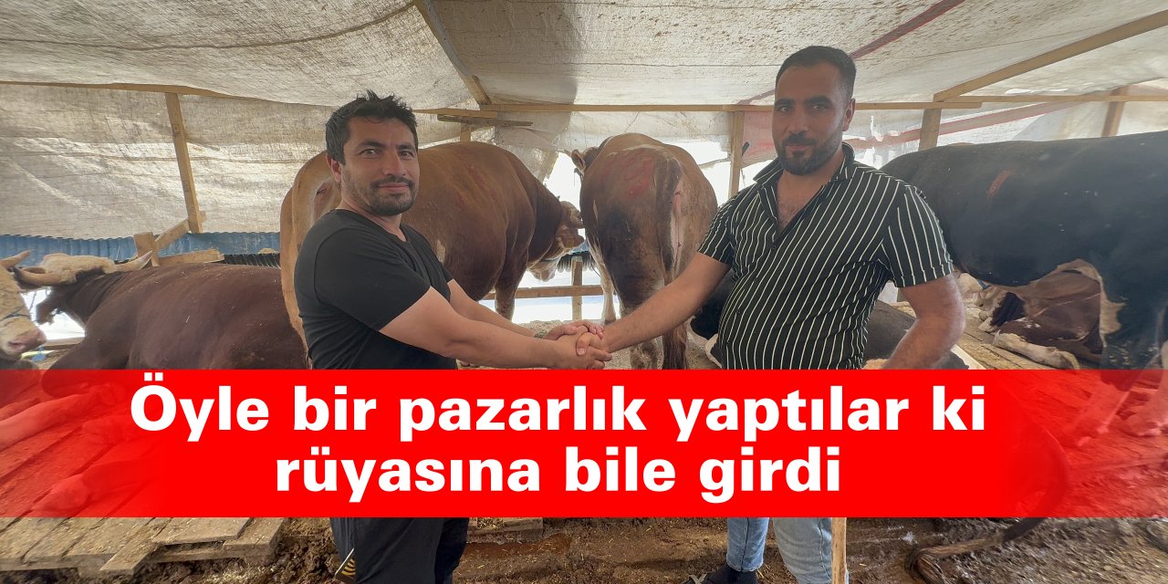 Öyle bir pazarlık yaptılar ki rüyasına bile girdi