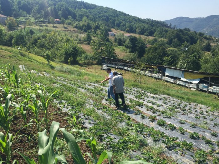 Çiftçiye alternatif ürün desteği