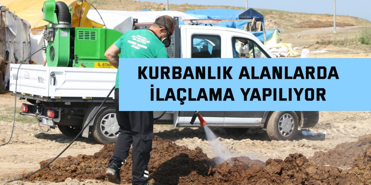 Kurbanlık alanlarda ilaçlama yapılıyor