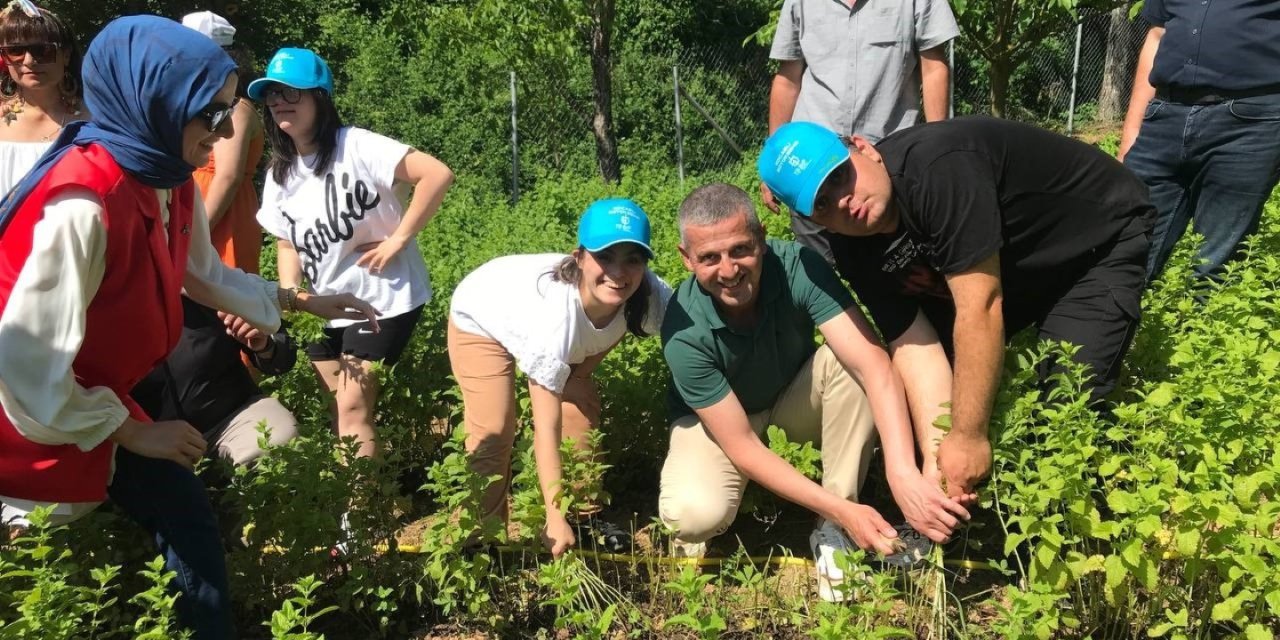 Özel çocuklar sebze ve aromatik bitki yetiştiriyor