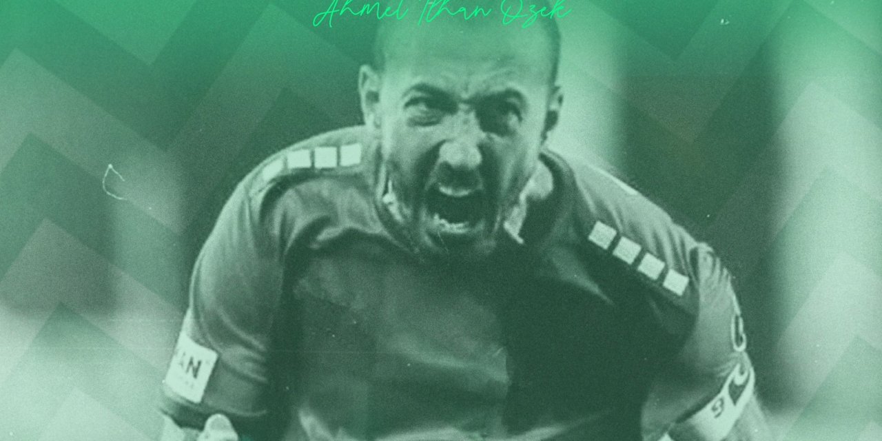 Ahmet İlhan Özek, Bursaspor’da