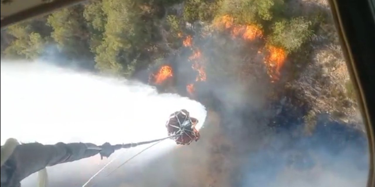 Selçuk'taki yangın Kuşadası'na sıçradı