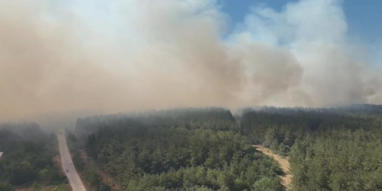 Orman yangınıyla ilgili Cumhuriyet Başsavcılığı soruşturma başlattı