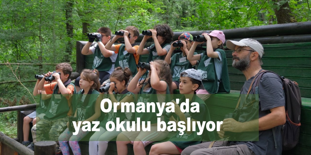 Ormanya'da yaz okulu başlıyor