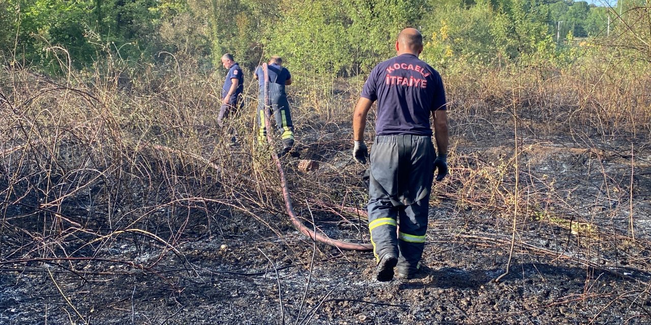 Kartepe'de ağaçlık alan yandı: 10 hektar küle döndü