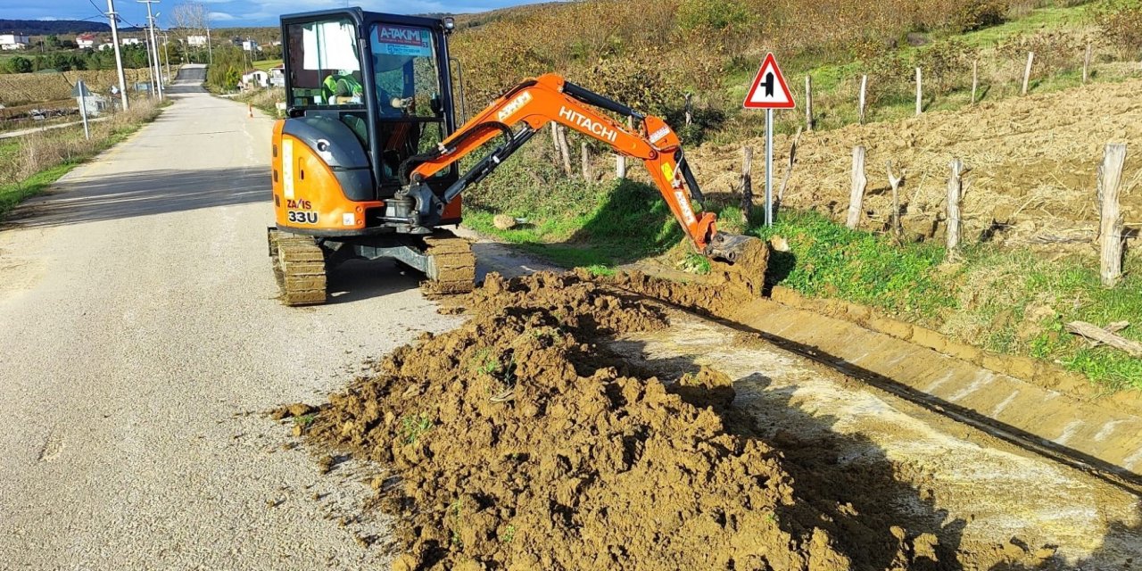 Yol kenarındaki otlar ve çalılar temizleniyor