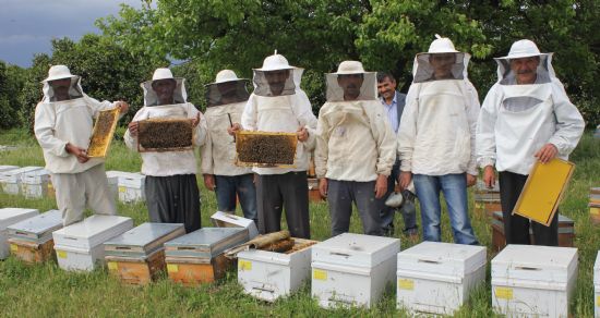 Arıcılar için yeni kurs açılıyor!