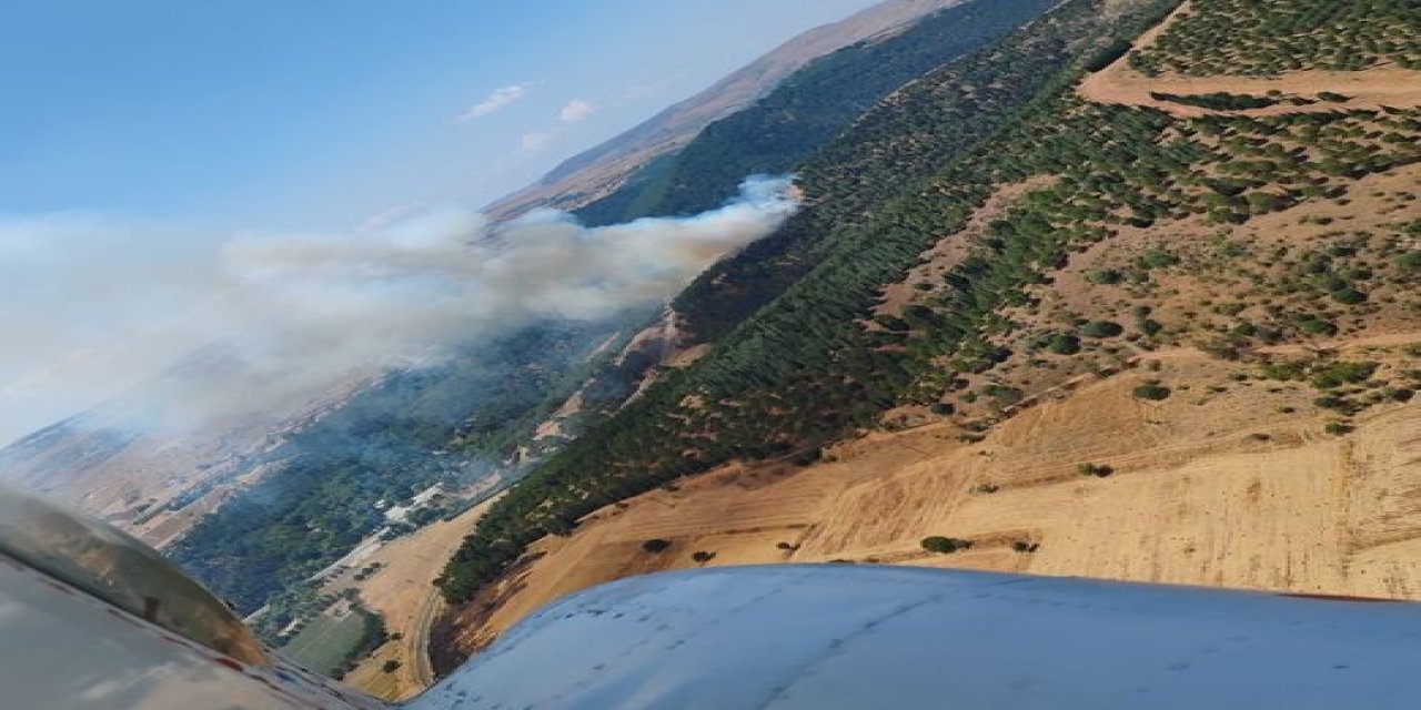 Balıkesir'de orman yangını