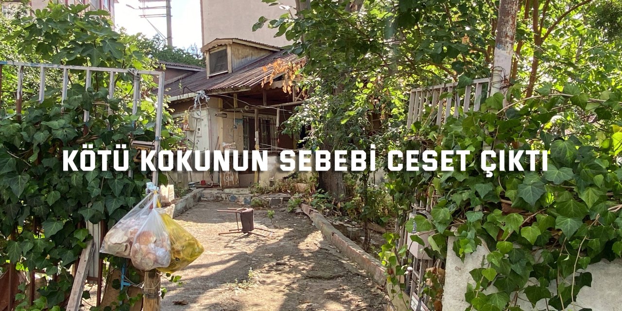 Kötü kokunun sebebi ceset çıktı