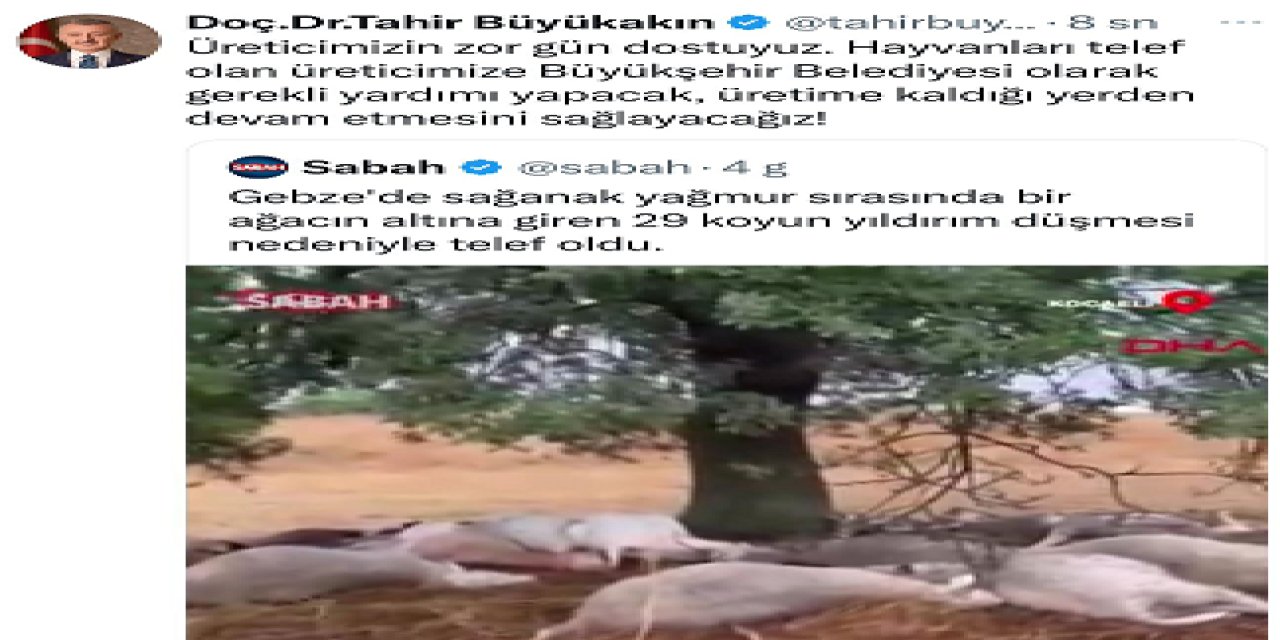 Koyunları ölen kişiye yardım yapılacak!