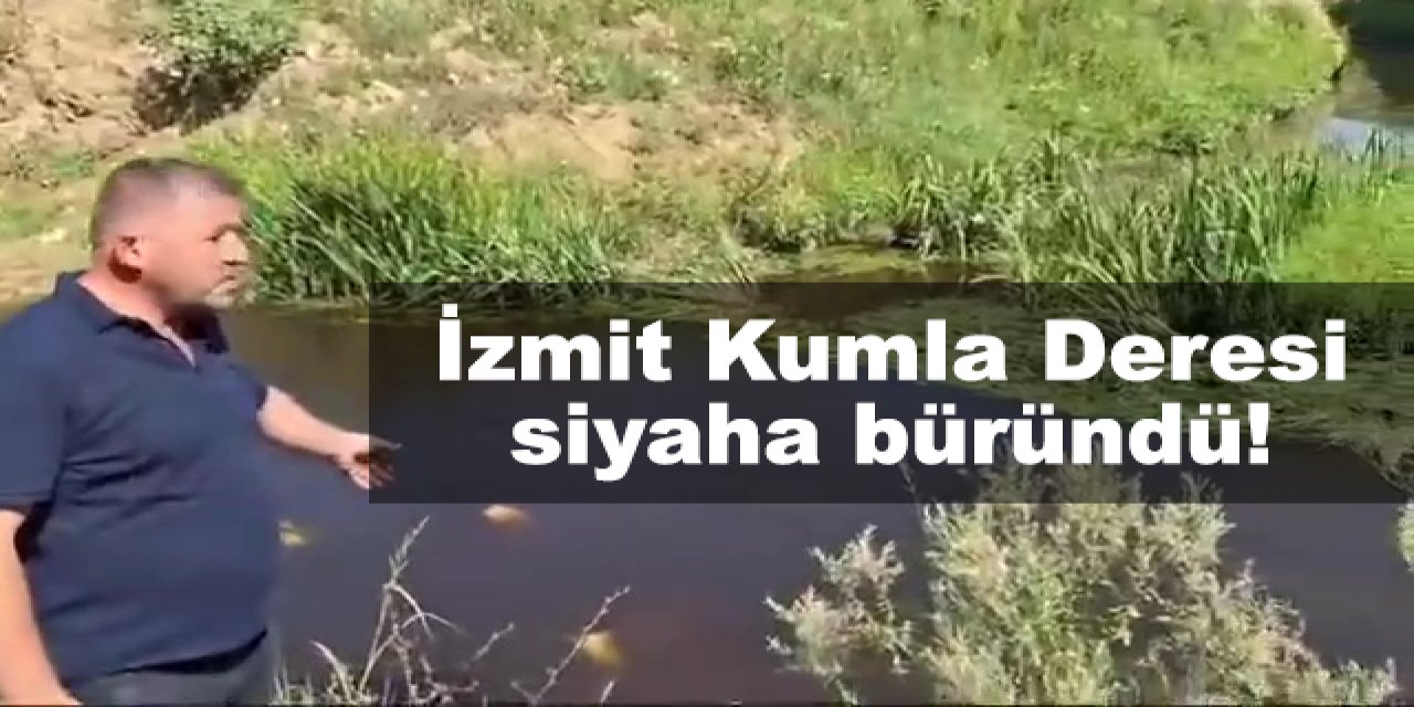 İzmit Kumla Deresi siyaha büründü!