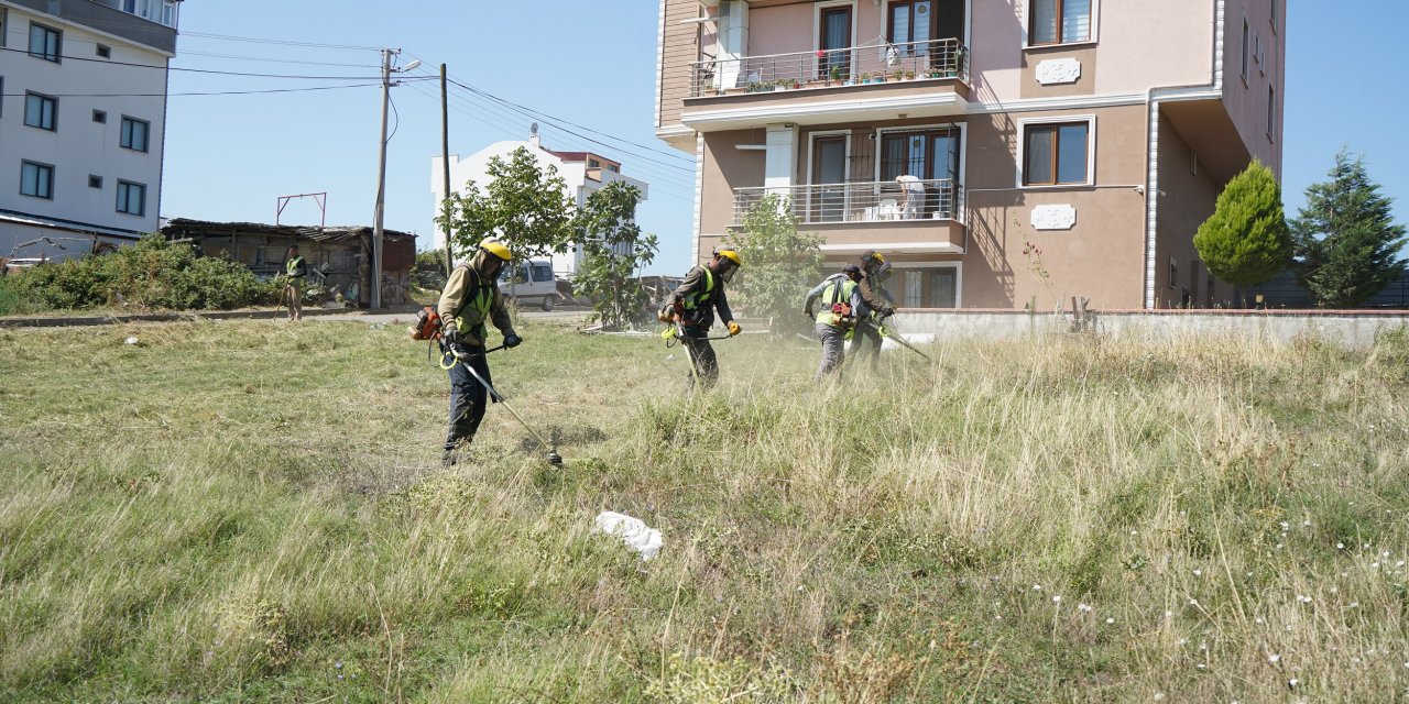 Çayırova’da ot temizliği