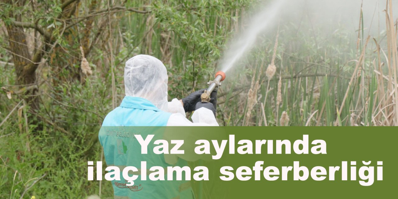 Yaz aylarında ilaçlama seferberliği