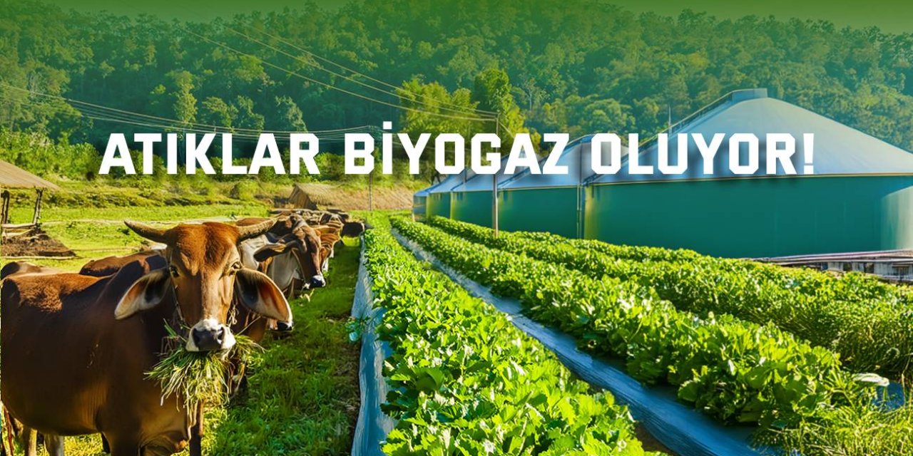 Atıklar biyogaz oluyor!