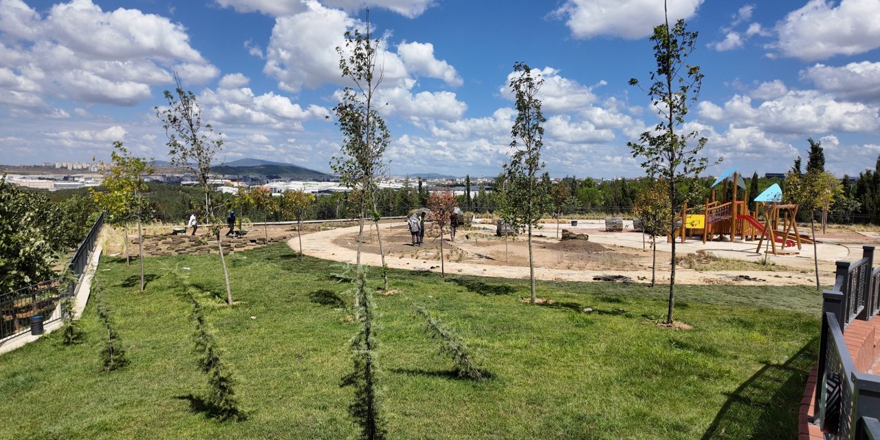 Duyu Bahçesi’nde çim serimi