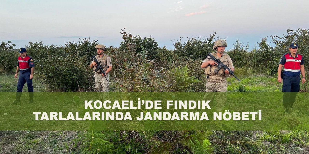 Kocaeli'de fındık tarlalarında Jandarma nöbeti