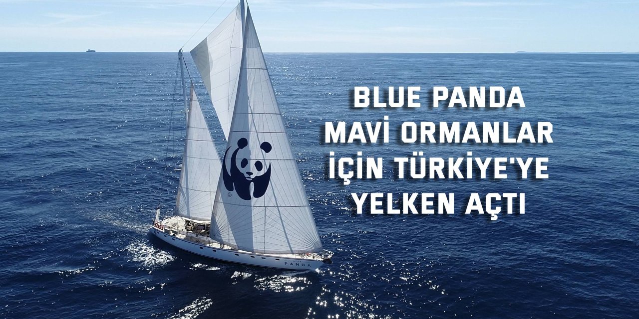 Blue Panda, Mavi Ormanlar için Türkiye'ye Yelken Açtı