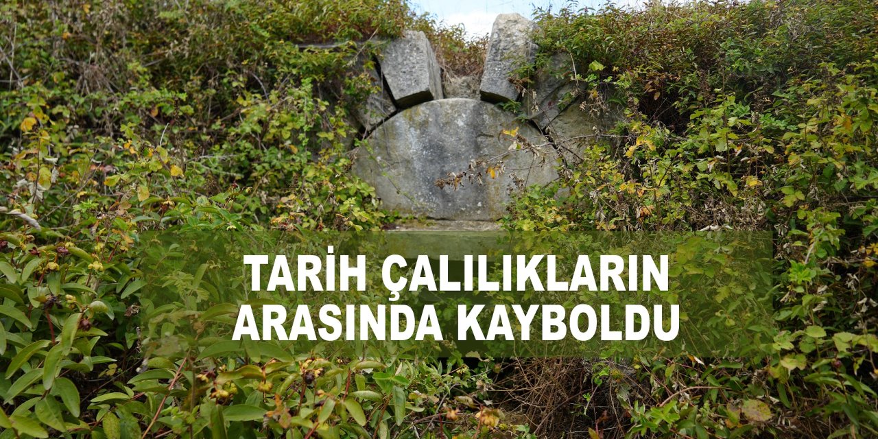 Tarih çalılıkların arasında kayboldu