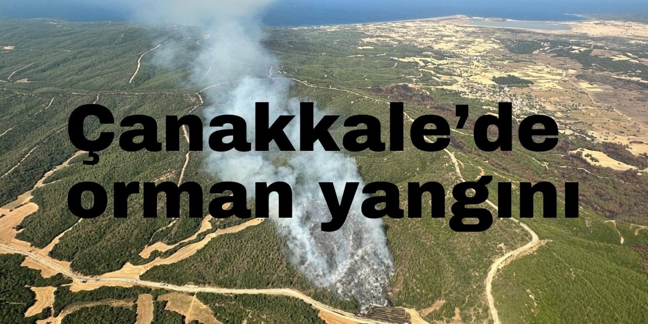 Çanakkale’de orman yangını