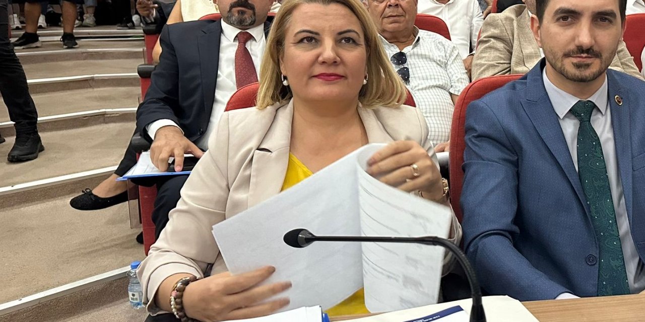 Hürriyet araç kiralama sözleşmelerini sordu