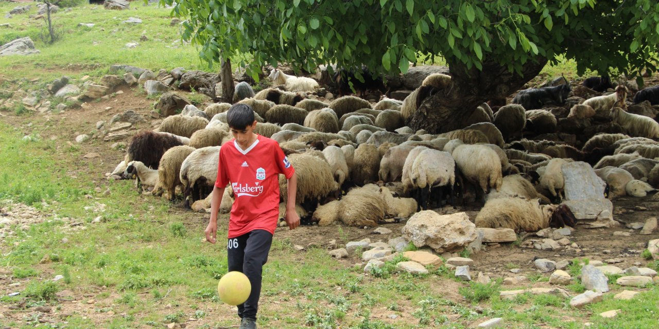 Çobanlıktan sahalara