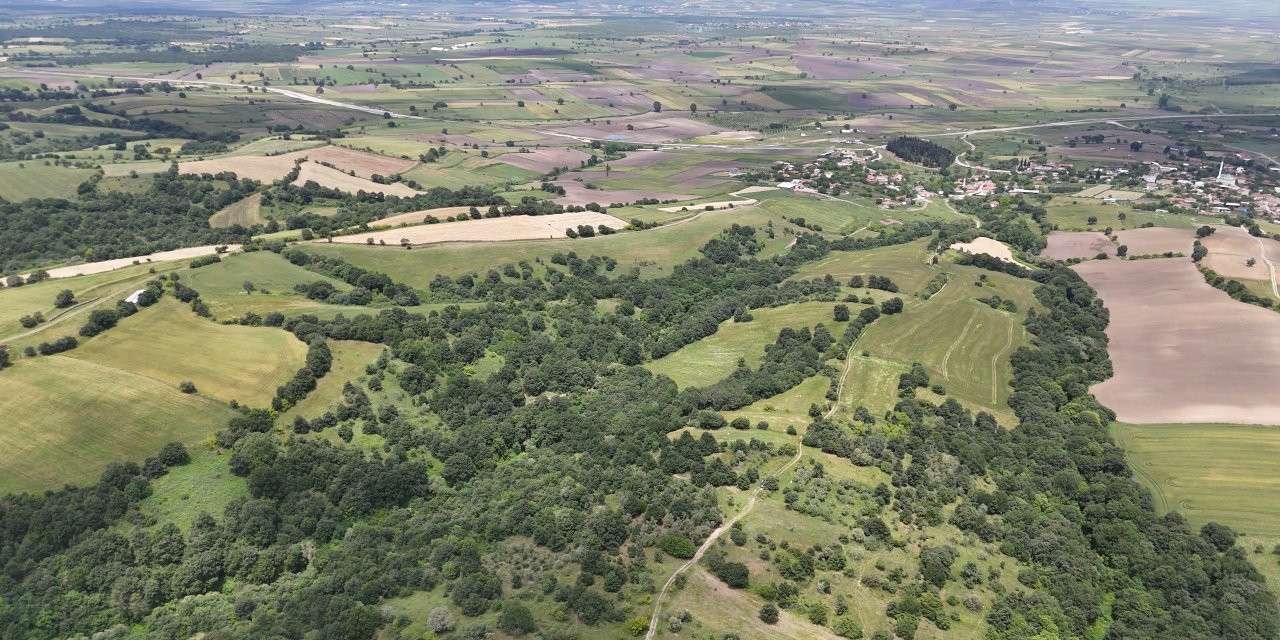 2025'in en trend yatırım aracı arazi olacak