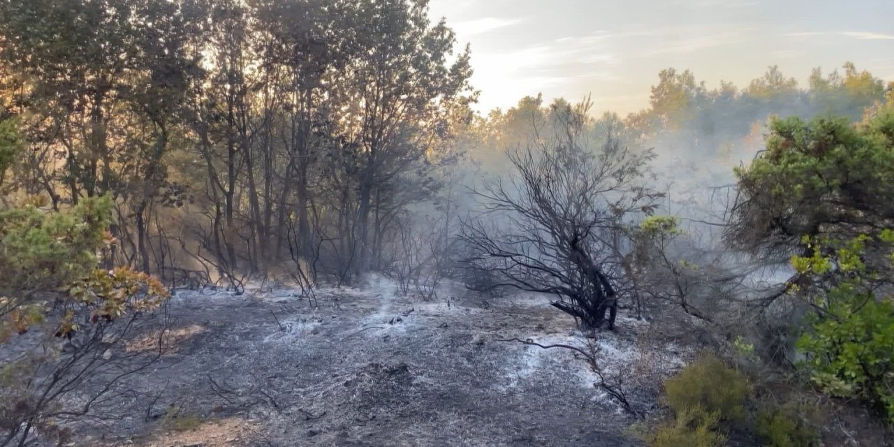 Gebze'de ormanlık alanda yangın çıktı