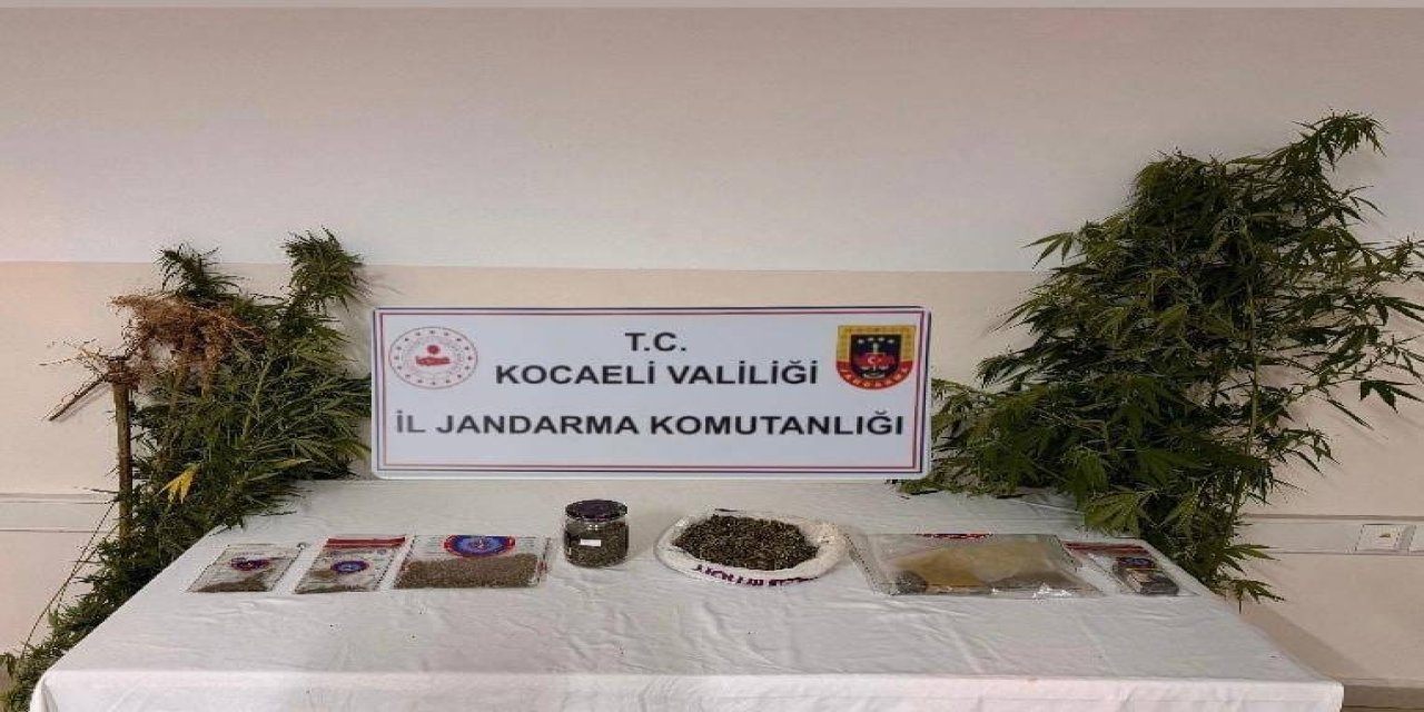 Kocaeli'de Uyuşturucu Operasyonu: 10 Gözaltı