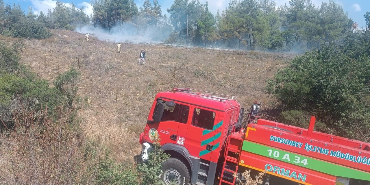 Bursa'da çıkan yangınlar kontrol altına alındı