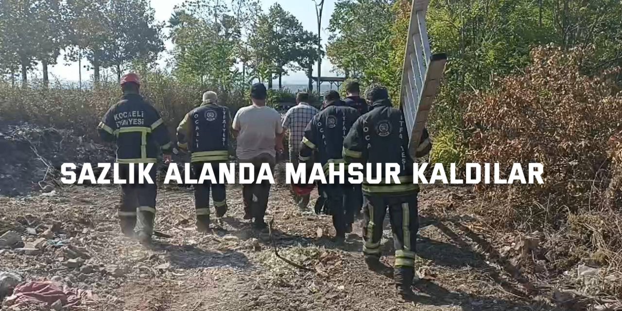 Sazlık alanda mahsur kaldılar