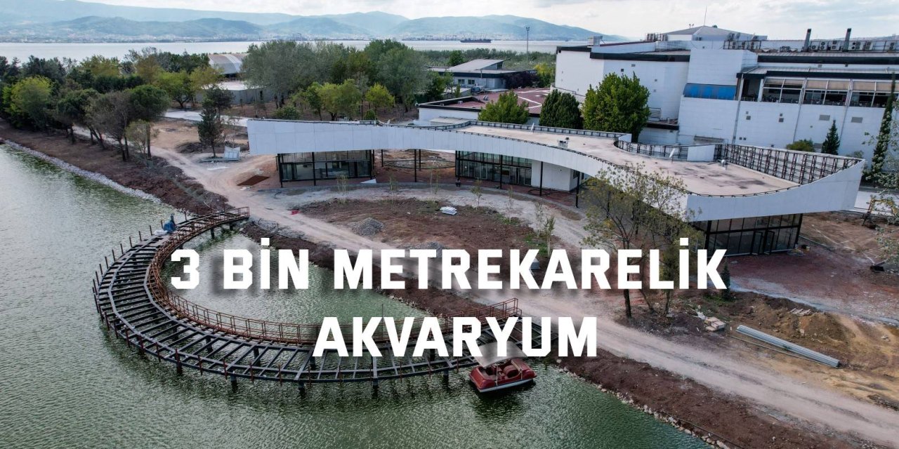 3 bin metrekarelik akvaryum