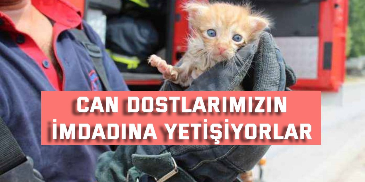 Can dostlarımızın  imdadına yetişiyorlar
