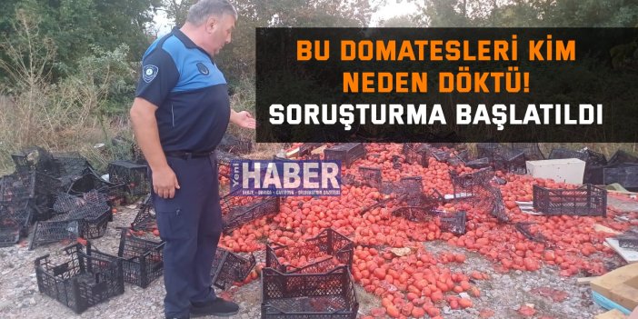 Bu domatesleri kim neden döktü! soruşturma başlatıldı