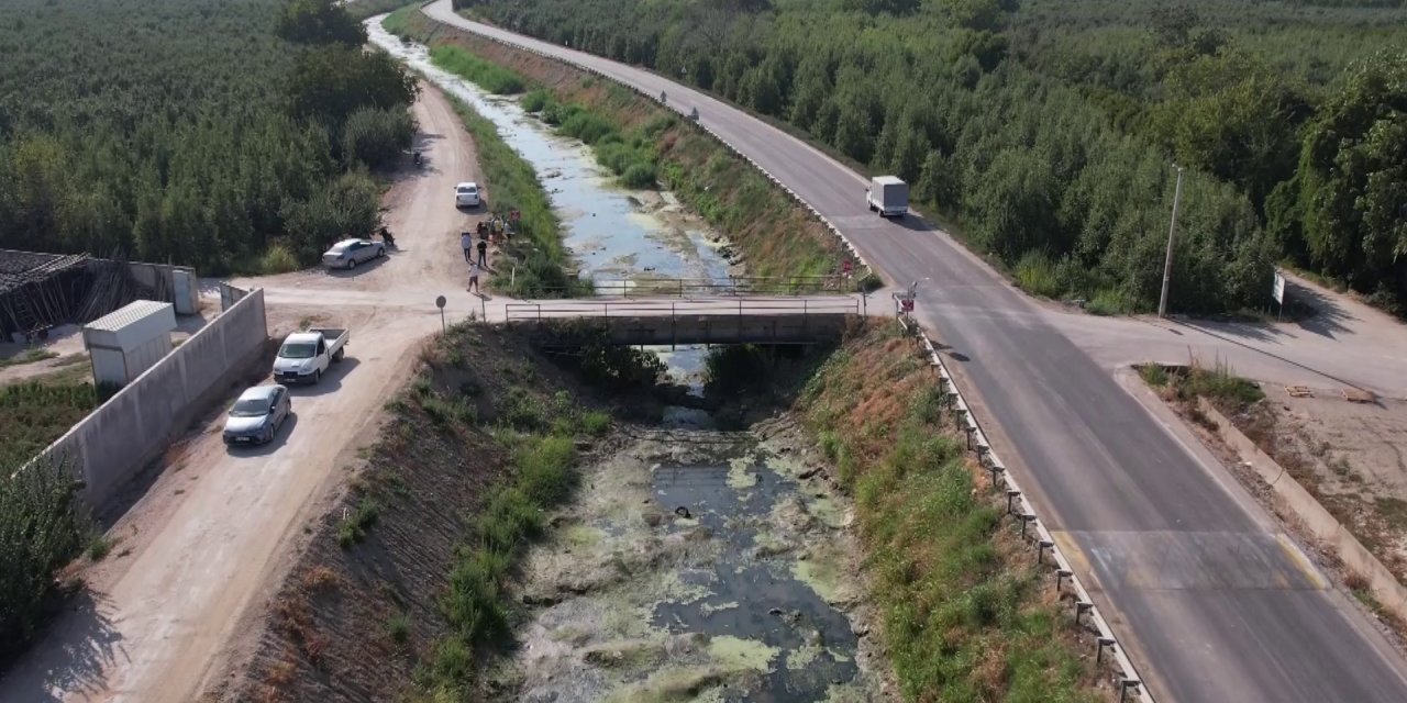 Sulama kanalları kurudu, balık ölümleri başladı