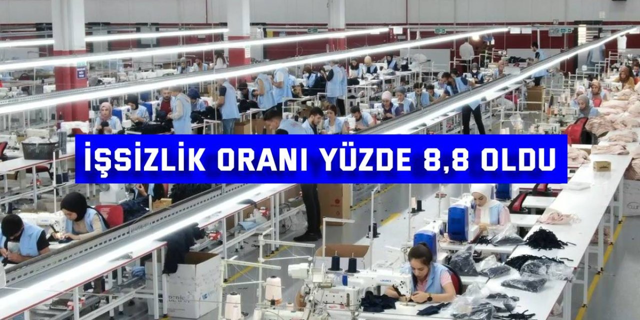 İşsizlik oranı yüzde 8,8 oldu