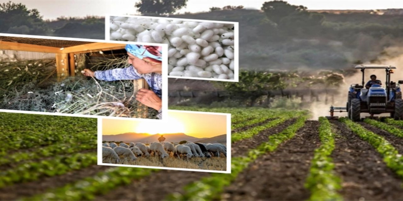 406,6 milyon TL'lik tarımsal  desteklemeler hesaplarda