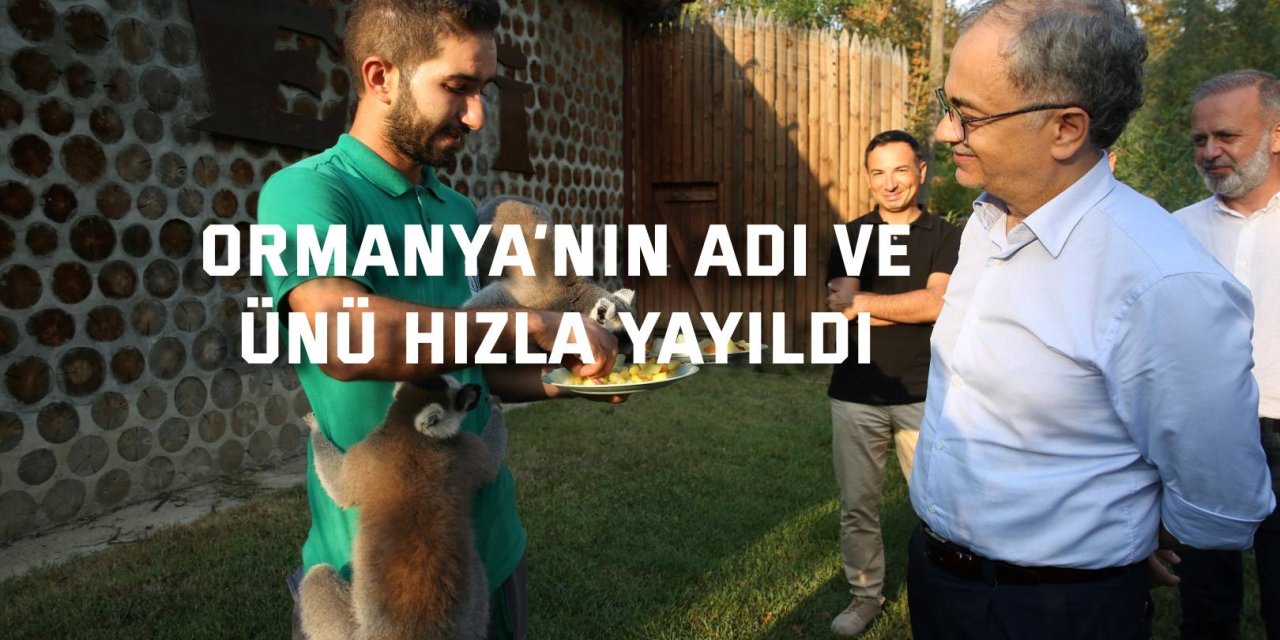 Ormanya’nın adı ve ünü hızla yayıldı