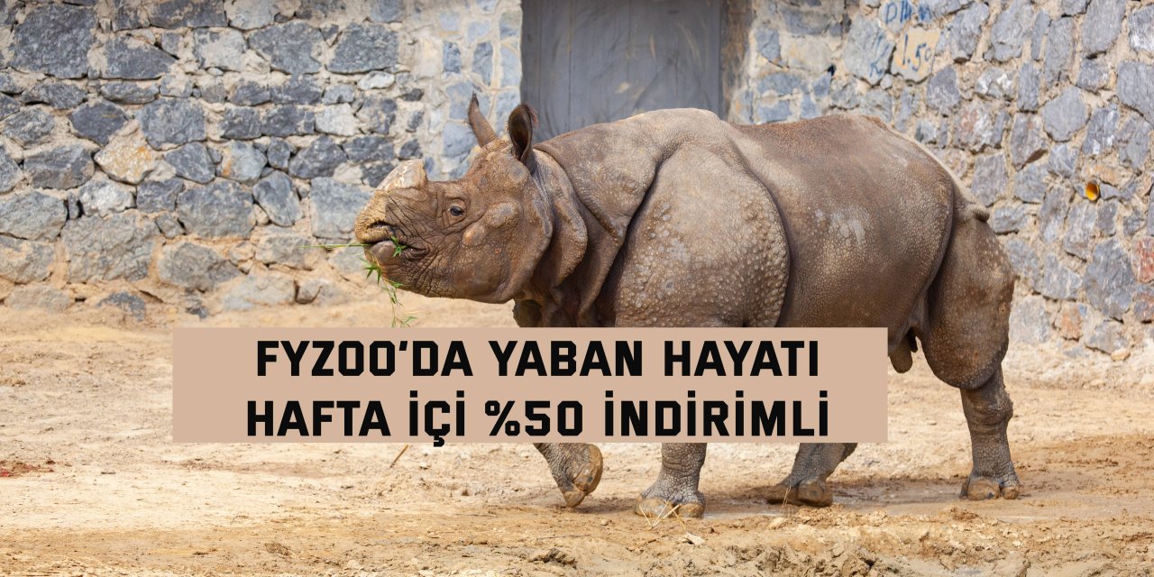 FYZoo’da Yaban Hayatı  Hafta İçi %50 İndirimli