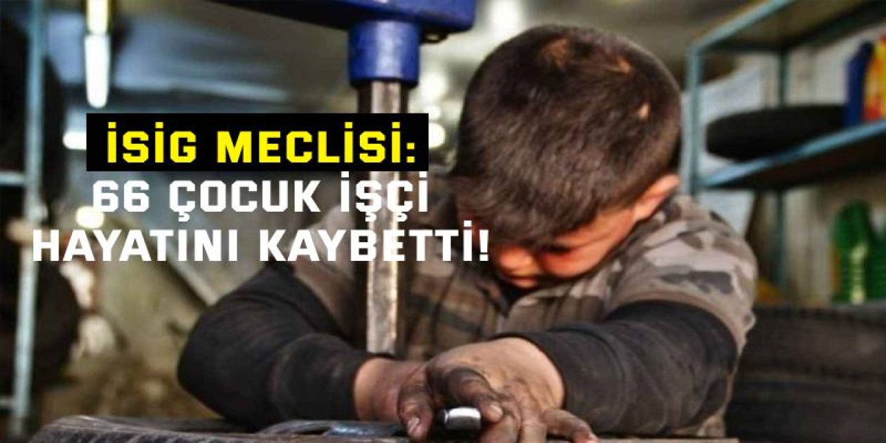 İSİG MECLİSİ:  66 çocuk işçi hayatını kaybetti!