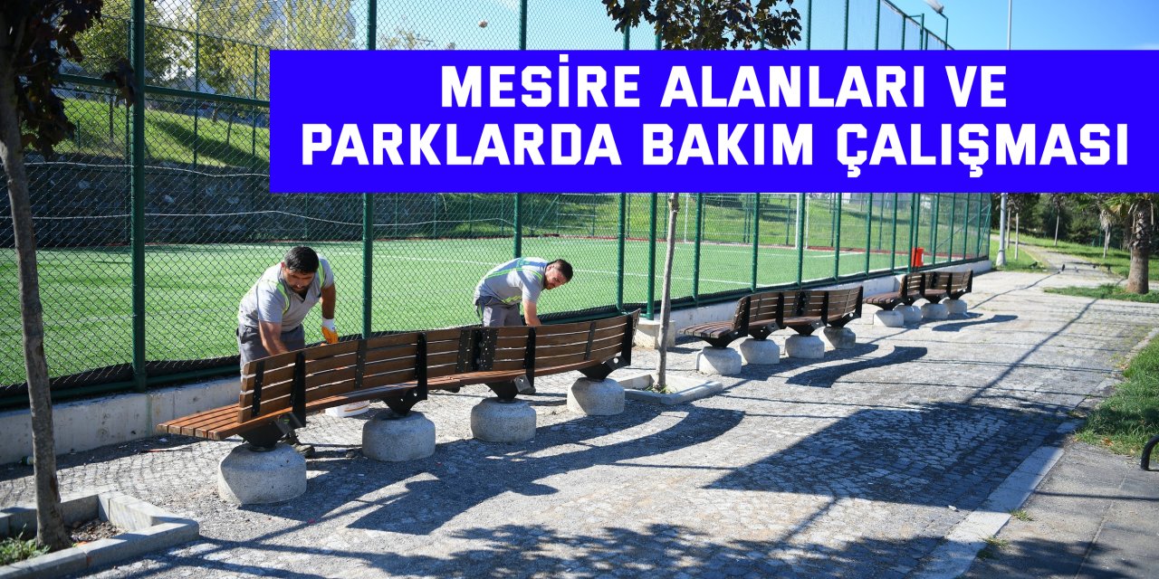 Mesire alanları ve parklarda bakım çalışması