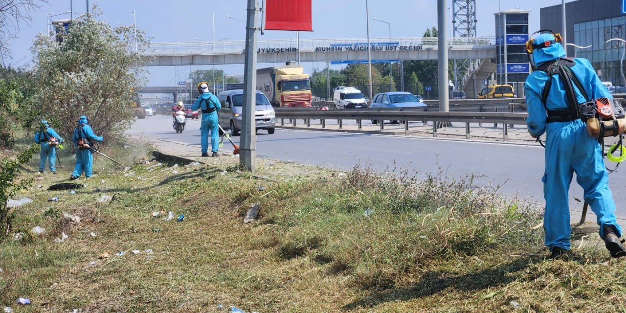 Park ve bahçelerde sonbahar temizliği