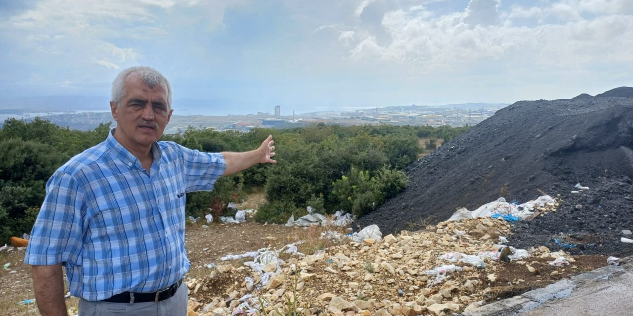 Gergerlioğlu: Kurban kesim  alanında cürufun ne işi var?