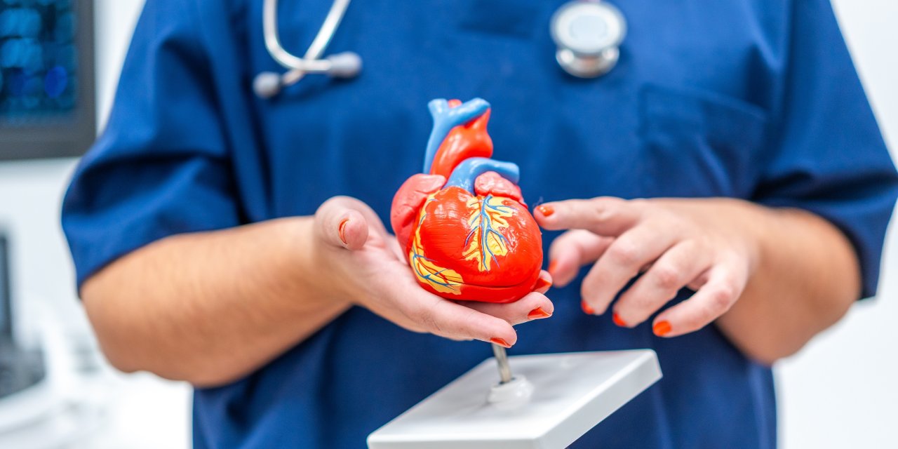 Kalbinize kulak verin!