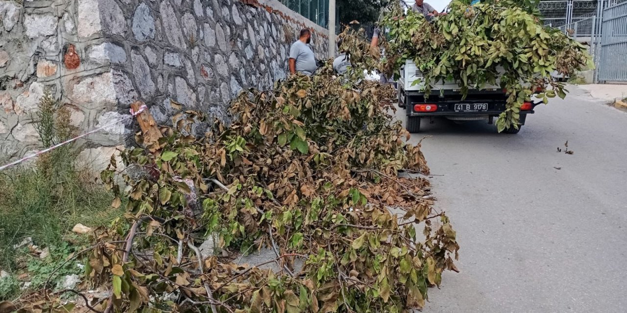 Körfez'de yeşil alanlara bakım