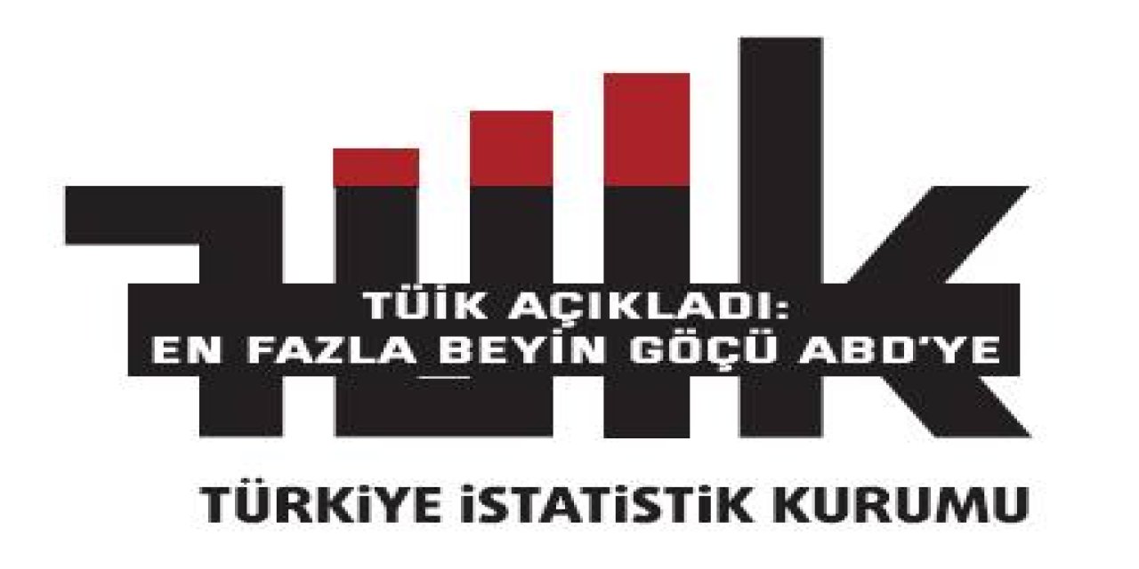 TÜİK Açıkladı: En Fazla Beyin Göçü ABD’ye