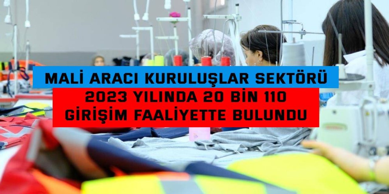 MALİ ARACI KURULUŞLAR SEKTÖRÜ    2023 yılında 20 bin 110  girişim faaliyette bulundu