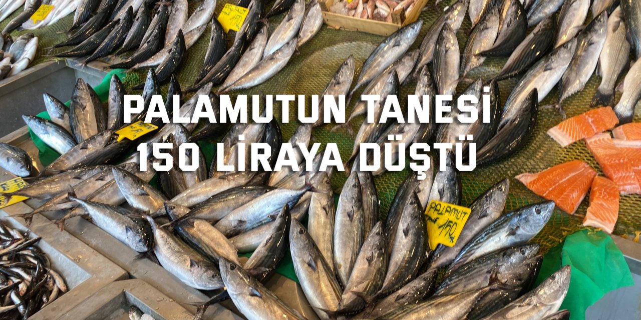 Palamutun tanesi 150 liraya düştü