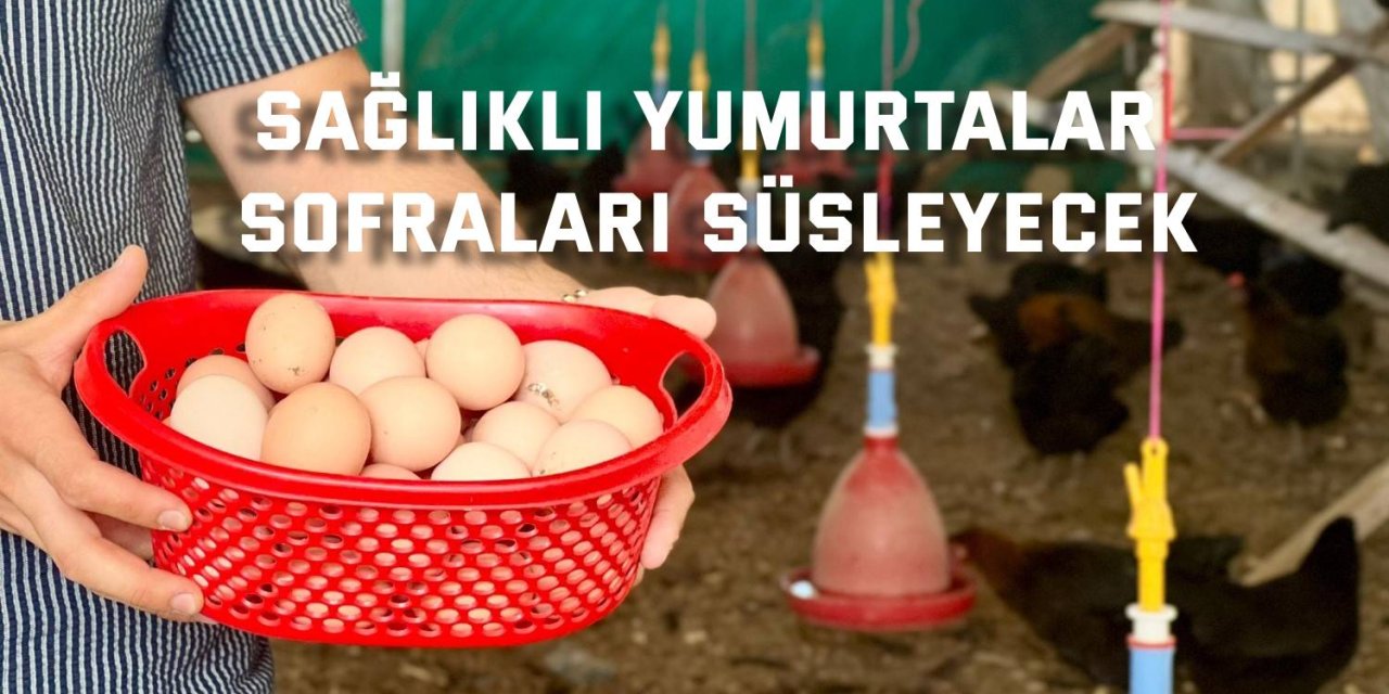 Sağlıklı yumurtalar  sofraları süsleyecek