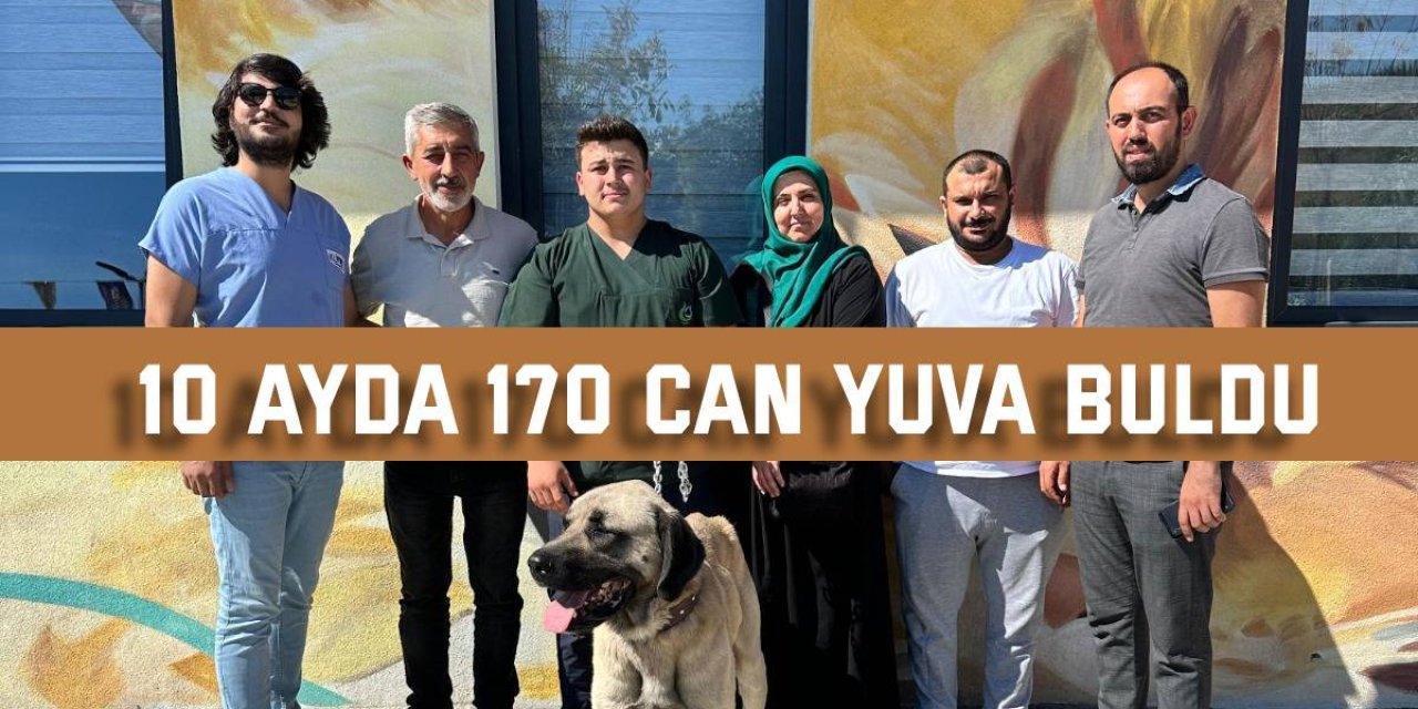 10 ayda 170 can yuva buldu